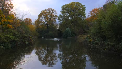 nature reflections on pond during autumn in greenwich park, london, united kingdom