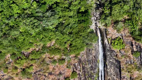 drone footage captures a stunning waterfall cascading through dense rainforest in port douglas, australia, with vibrant greenery and rocky cliffs