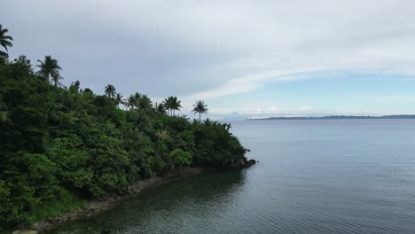 Drone-shot-of-forest-and-palm-trees-on-the-beach,-Bato-town,-Catanduanes-island