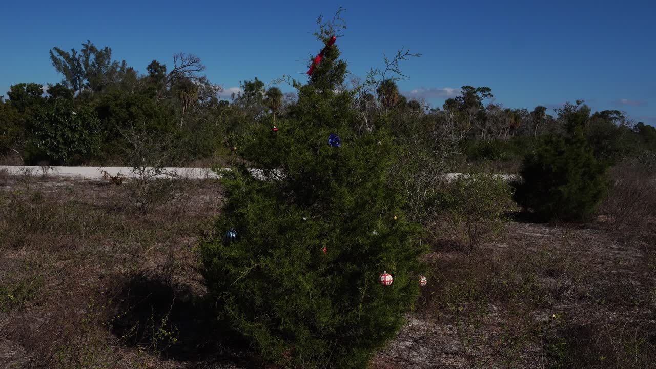 Uma árvore no meio da natureza foi decorada com enfeites de Natal para ilustrar a época festiva. Ao fundo, um ciclista passa, juntamente com árvores e um magnífico céu azulado com nuvens