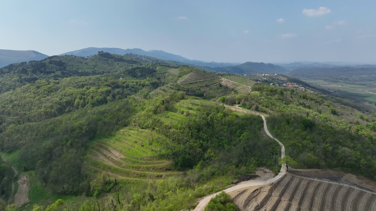 Country road and green hilly farmland by Vipava in Slovenia, aerial rise