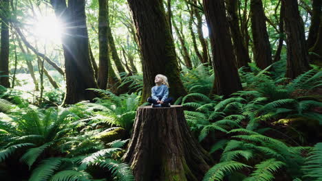 child in a forest: a gaze of wonder