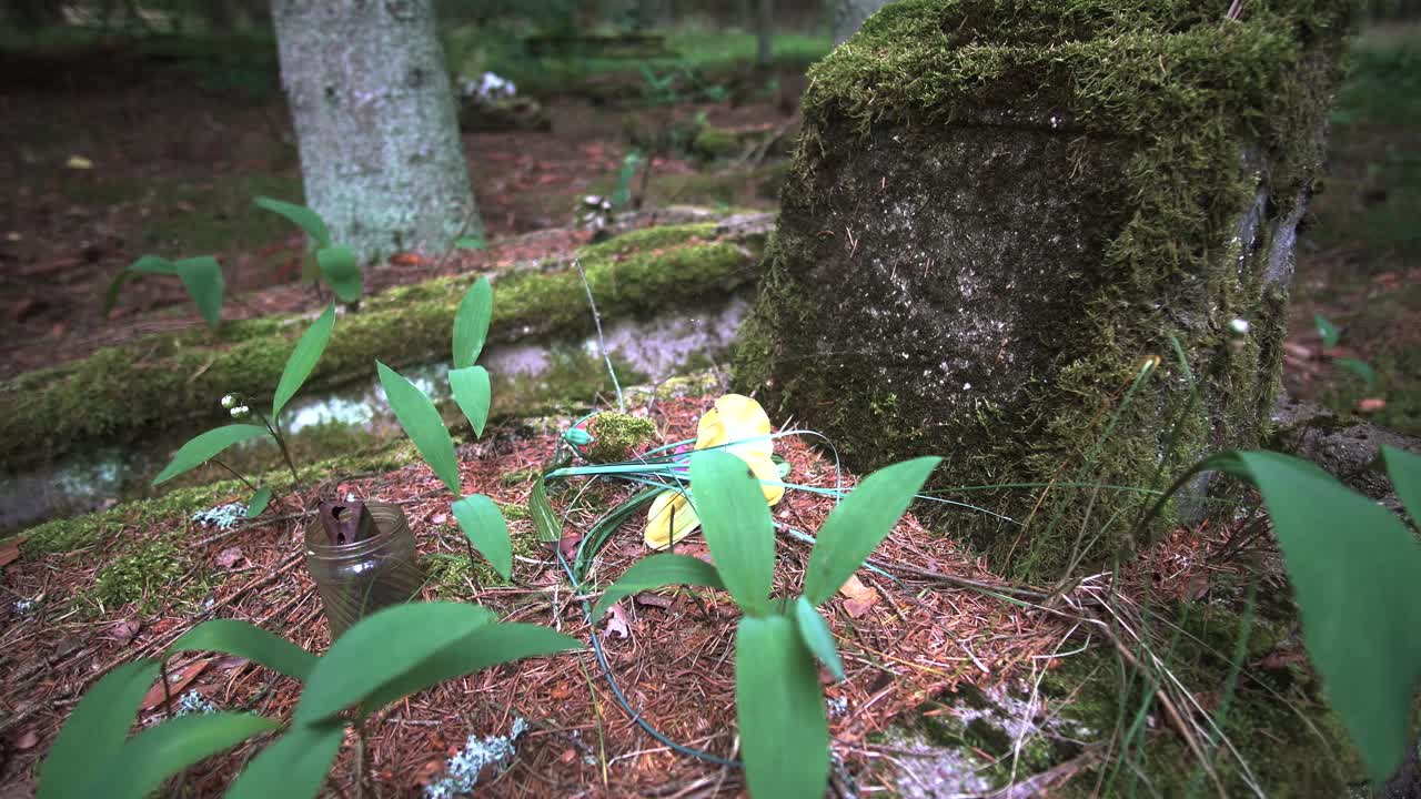 오래 된 잊혀진 홀로 코스트 무덤, 리투아니아 유럽에서 이끼 덮인 머리 돌