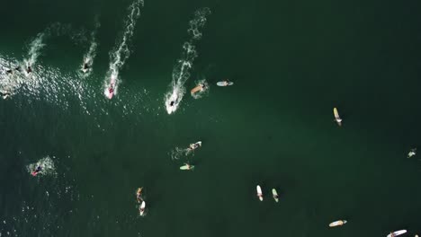 surfers catch wave on turquoise ocean surface, top view