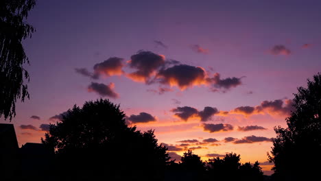 sunset over trees