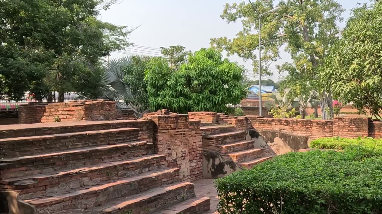 Explore the rustic brick steps surrounded by vibrant greenery in this tranquil park setting.