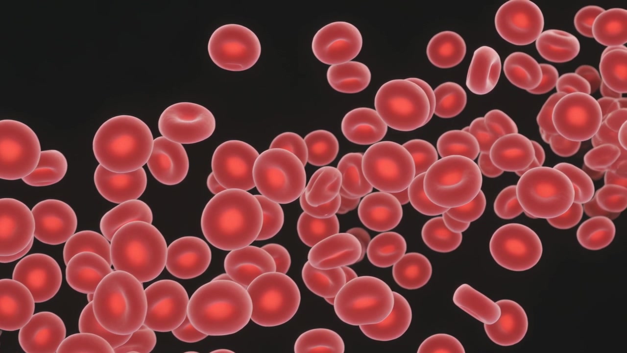 Drifting red blood cells moving down-right from top-left, tumbling in dark lumen, simulating flow