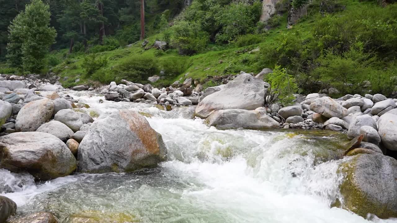 clara corriente de agua dulce fluye sobre las rocas en un bosque verde exuberante, rodeado de árboles y rocas