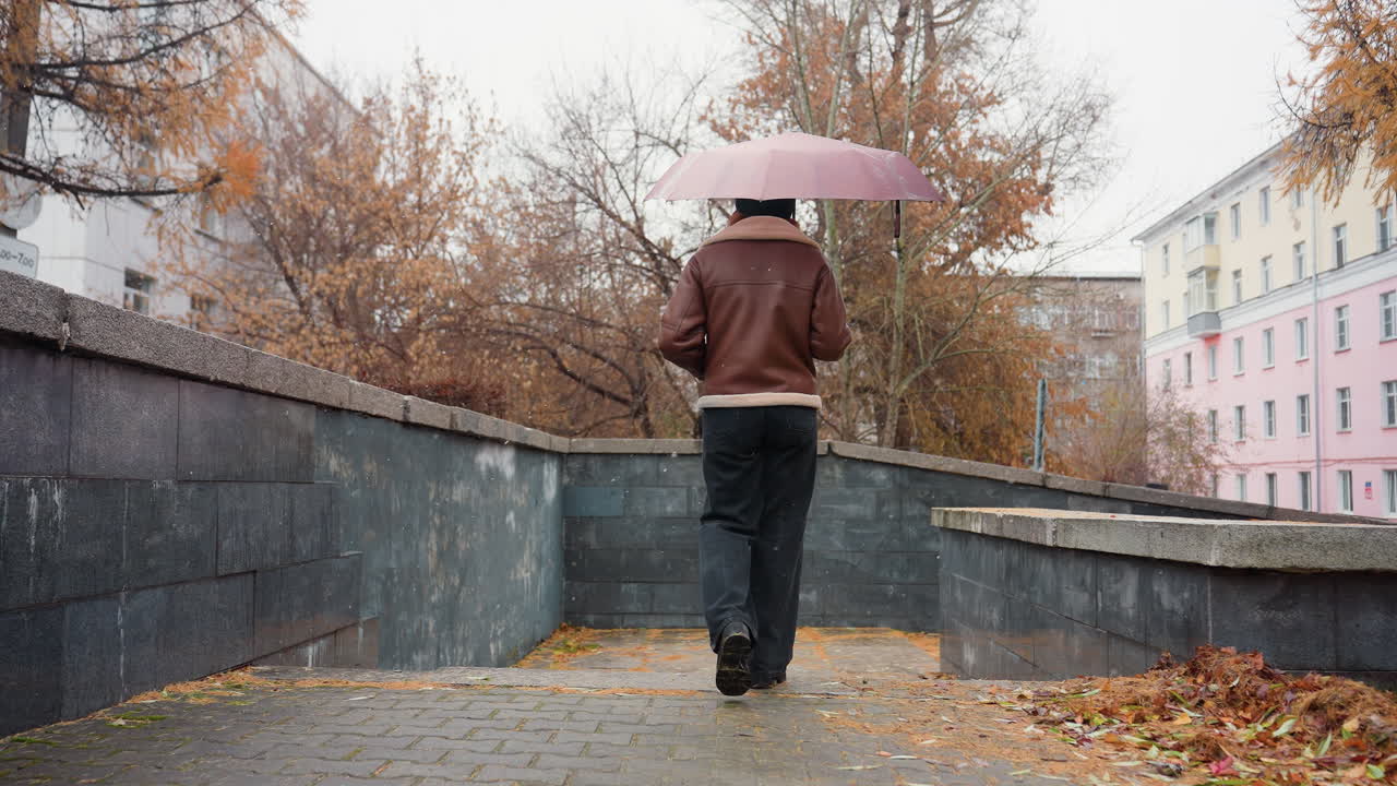Back shot of female holding umbrella, wearing knit cap, brown shearling jacket, black trousers, one hand in pocket, walking through light snowfall with colorful autumn leaves scattered on the ground