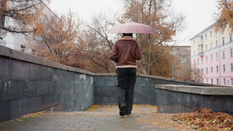 back shot of female holding umbrella, wearing knit cap, brown shearling jacket, black trousers, one hand in pocket, walking through light snowfall with colorful autumn leaves scattered on the ground