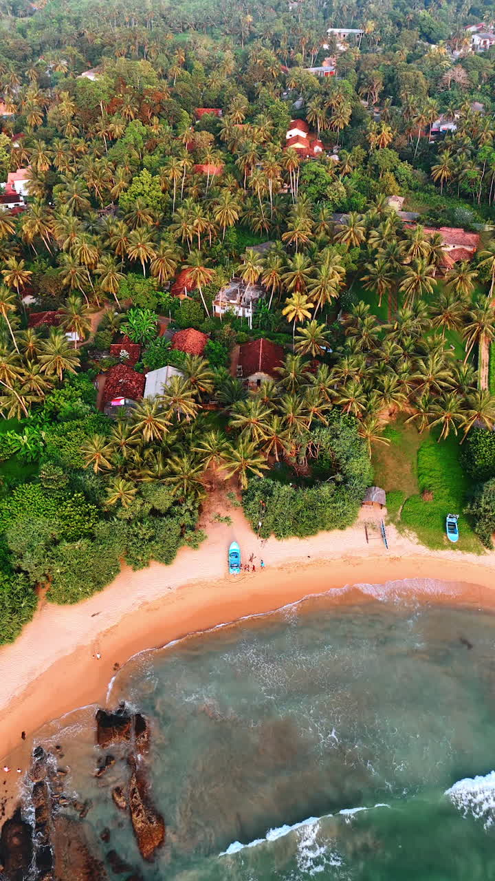 Mesmerizing view of the waves arriving to the sandy beach. Multiple houses locate in the wood of palm trees. Sri Lanka panorama. Vertical video.