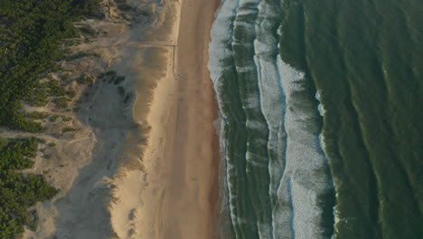 Tropical-Beach-with-Dunes,-Brown-Sand-and-Green-Ocean-at-Sunset,-Aerial-Birds-Eye-View-Top-Shot,-slow-forward