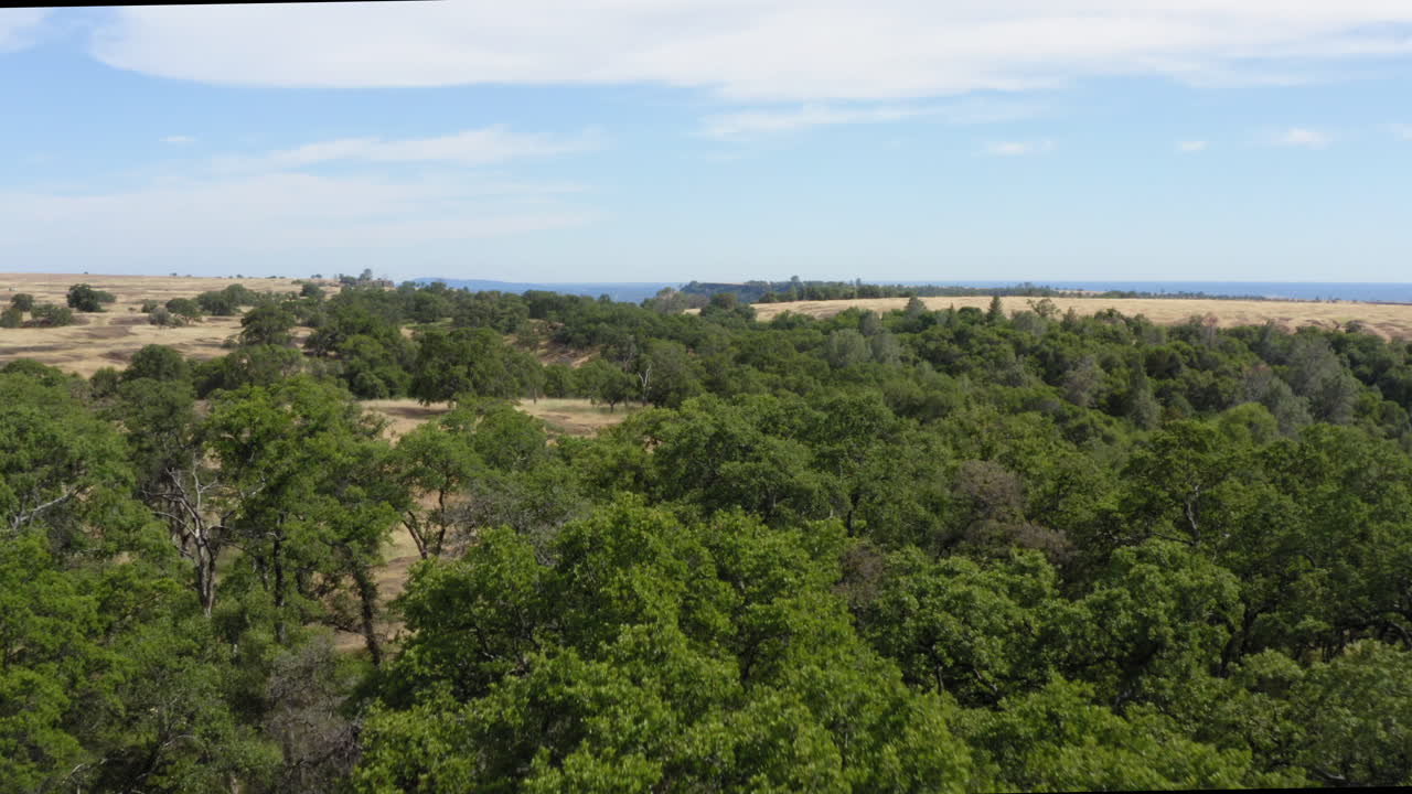 растущая зелень столовой горы округ батт калифорния аэрофотосъемка