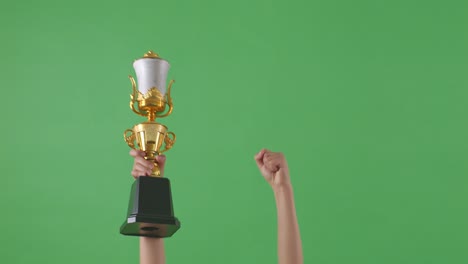 raised hands of a woman are holding a trophy. green screen background