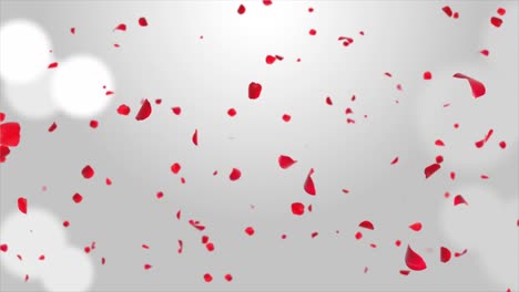 los pétalos rojos cayendo