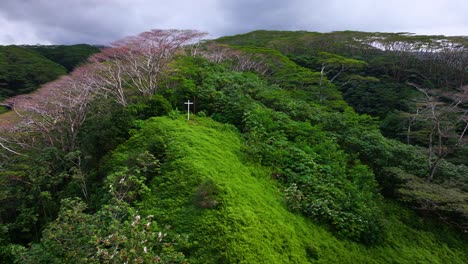 tahiti papeno'o sunny mountainside white cross jesus christ catholic christian religion french polynesia aerial drone tiarei church papeete teahupoo lush dense jungle forest circle right motion