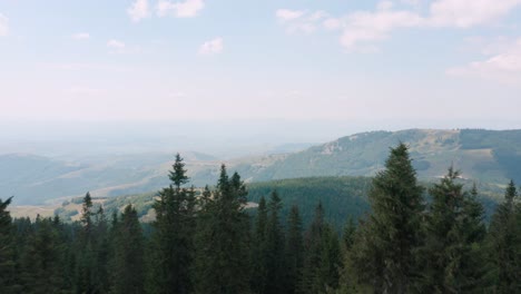 Aerial-flyover-evergreen-forest-on-the-misty-morning