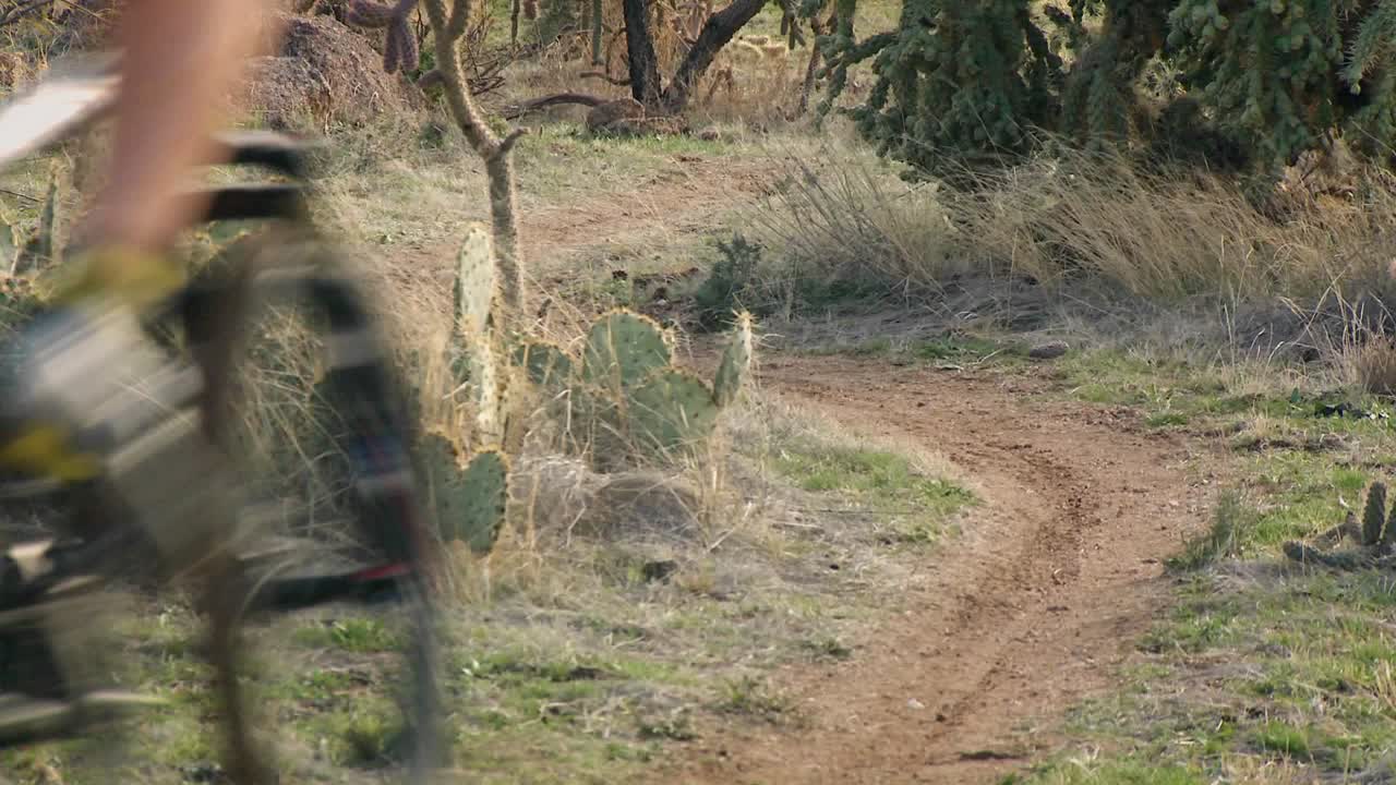 자전거 타는 사람이 오프로드 트레일을 타고 내려갑니다.