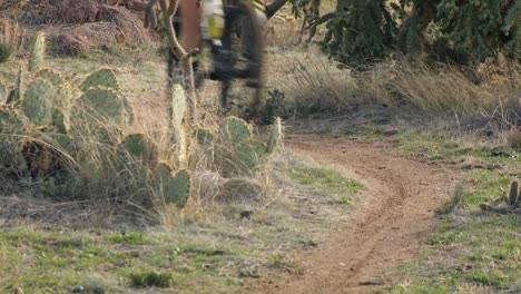 a cyclist rides down an off road trail