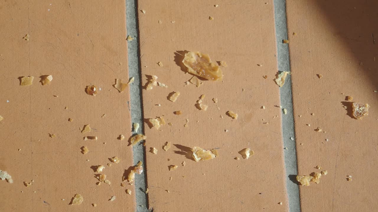 벽돌 바닥에 있는 어리