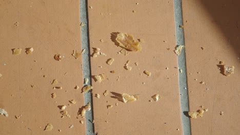 crumbs on a brick floor