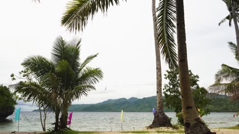 Coconut-Trees-Blowing-With-The-Ocean-Breeze-At-The-Beach-With-Colorful-Flags