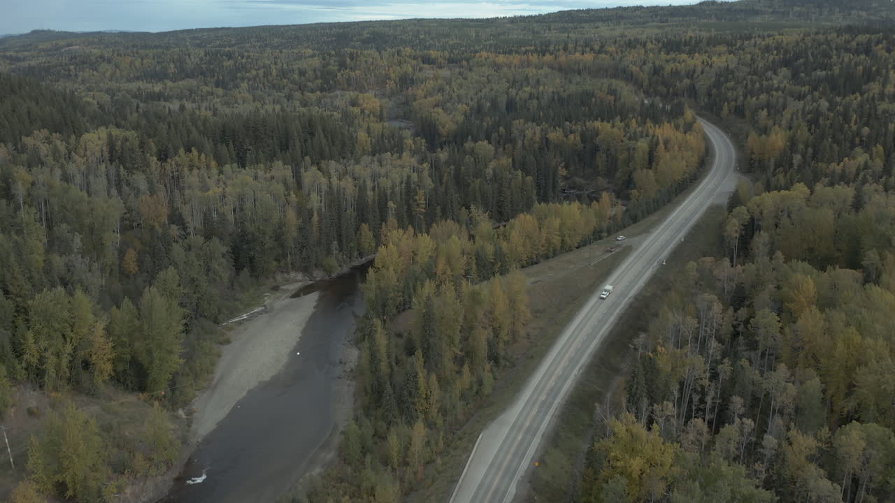 antena, conducción de automóviles en carretera pavimentada en bosque de pinos