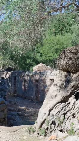 ruined stone structures in a forest landscape