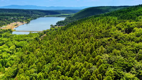 Beautiful green forest view. A breathtaking landscape of vibrant greenery meets a tranquil lake in the distance