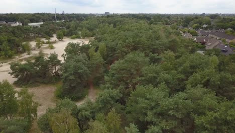 Fly-straight-over-the-dune-and-small-forest-in-4K
