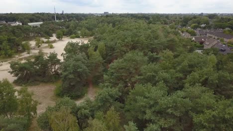 Fliegen-Sie-In-4k-Direkt-über-Die-Düne-Und-Den-Kleinen-Wald