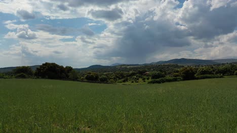 Vuelo-De-Drones-A-Baja-Altitud-Sobre-Un-Campo-De-Trigo-Verde-Que-Cae-Por-El-Aire-Con-Un-Fondo-De-árboles-Y-Montañas-Con-Un-Cielo-Azul-Con-Nubes-En-Una-Tarde-De-Primavera-En-Ávila,-España