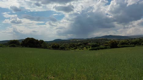 vuelo de avión no tripulado a baja altitud sobre un campo de trigo verde que cae a través del aire con un fondo de árboles y montañas con un cielo azul con nubes en una tarde de primavera en ávila, españa