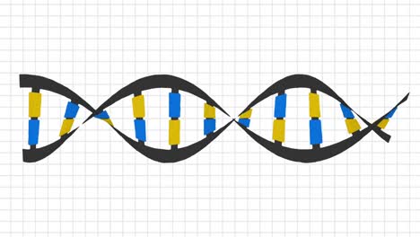 Animation-of-dna-strand-on-white-background