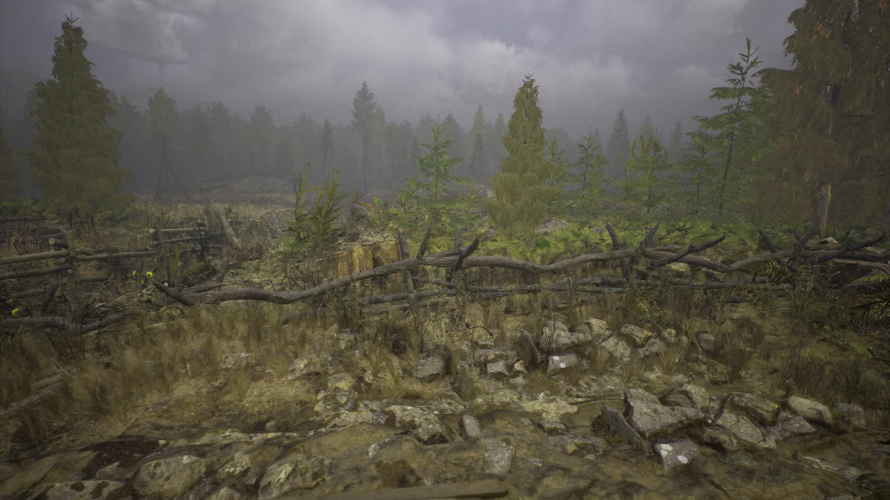 Mysterious fog engulfs a dense forest at dusk with a rustic boundary
