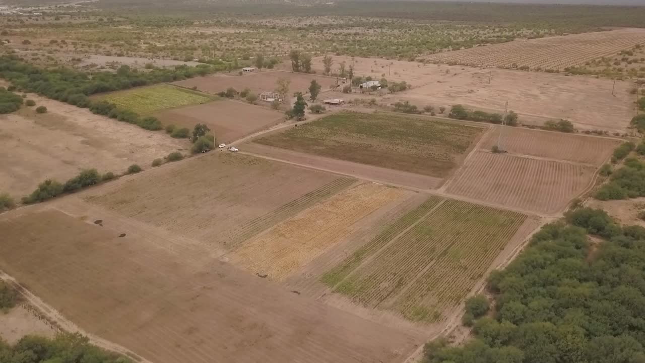 vista de un dron ascendiendo cerca de una plantación y inclinándose hacia abajo a una vista cenit durante un día nublado en méxico