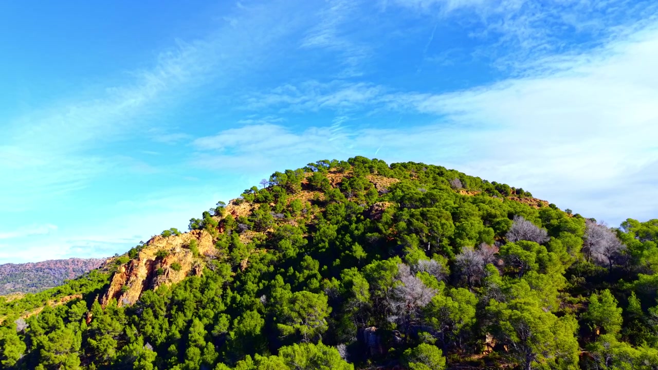 Collina rocciosa soleggiata densamente coperta da una foresta di conifere e vegetazione verde sotto un cielo azzurro con nuvole sottili. Vetta montuosa ricoperta di pini verdi.