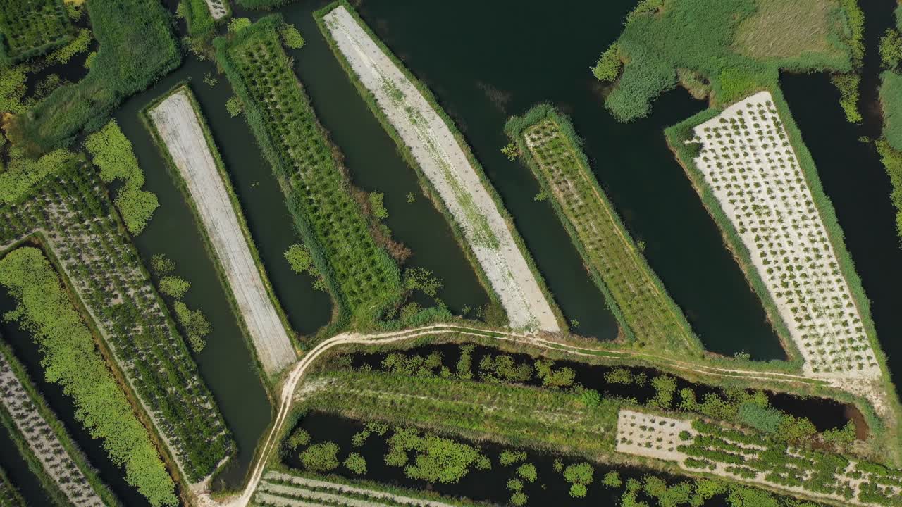 Neretva Valley, flying over Agriculture Plantation Fields in Delta of River Neretva in South Croatia - Aerial Drone View