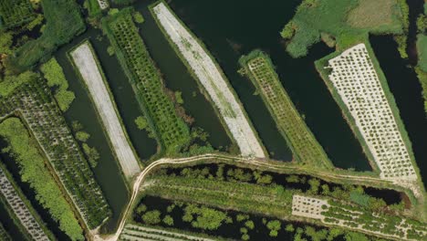 neretva valley, flying over agriculture plantation fields in delta of river neretva in south croatia - aerial drone view