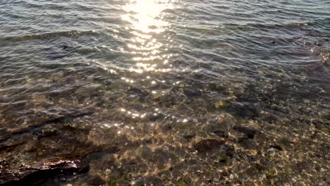 waves gently lap the sandy shore