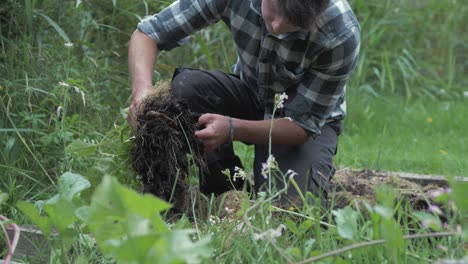 young caucasian man harvesting organic potatoes pulling up stalk