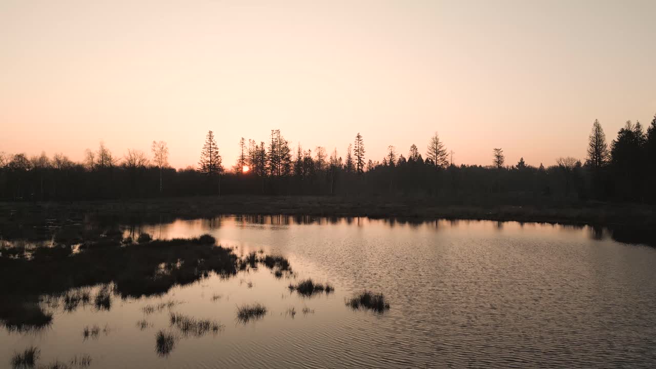 amanecer o atardecer sobre un bosque y pantano