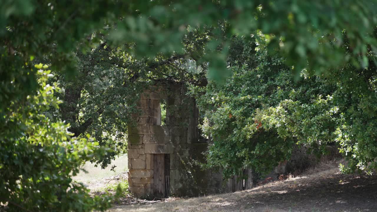 old stone structure surrounded by forest in rural portugal