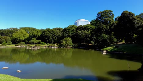 El-Hermoso-Parque-En-Tokio