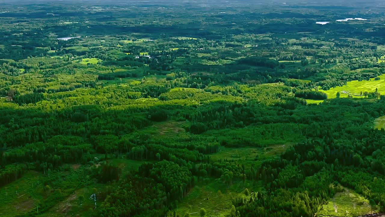 Expansive green forests in motion as cloud shadows drift quickly overhead