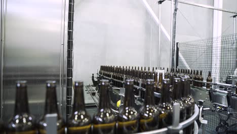 glass bottles in packaging line at a large brewery