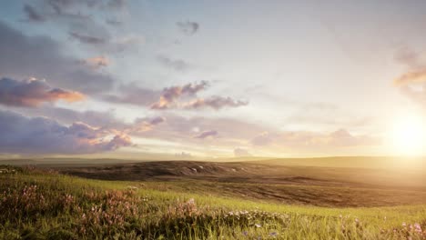 Animationshintergrund-Eines-Feldes-Mit-Der-Sonne,-Die-Rechts-Auf-Das-Gras-Und-Die-Blumen-Scheint,-Während-Sich-Die-Wolken-Bewegen