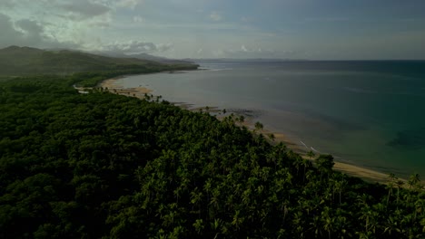 bosque verde, playa de arena y océano abierto en filipinas, antena aérea hacia adelante