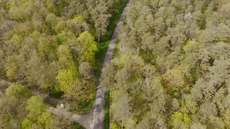 Drohne-über-Einer-Straße-Durch-Einen-Wald