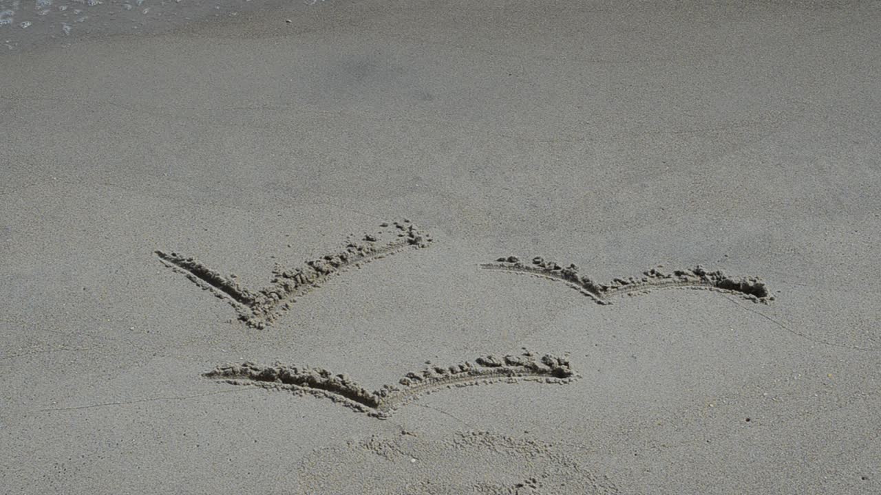 Disegno di gabbiani sulla sabbia. Riprese in spiaggia.